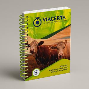 BOVINO Auxiliar Veterinário para Médio e Grande Porte Capa em Triplex 300g - Miolo em Sulfite 90g 20,5X28,5 cm Colorido Capa com BOPP Brilho Espiral 